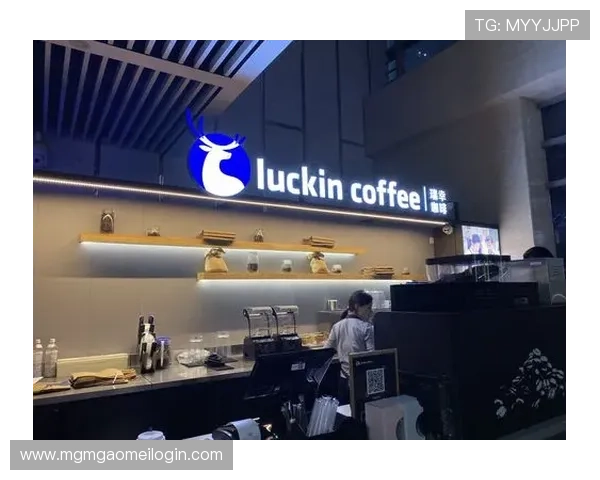 回力加盟官网提供的支持与资源助力加盟商实现品牌快速扩展与盈利